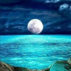 Meet your Posher, Yvonne